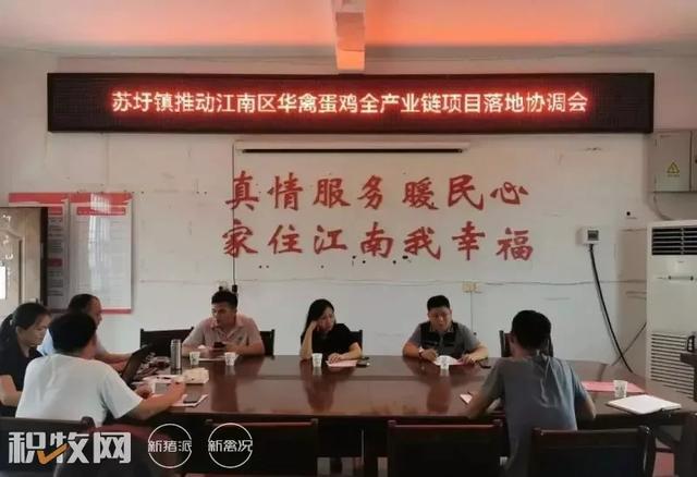 廣西蛋雞養(yǎng)殖產(chǎn)業(yè)再添巨擘 可存欄200萬余羽項目開工，推動農(nóng)副產(chǎn)品銷售新格局