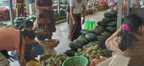 緬甸糧食安全拉響警報(bào) 基礎(chǔ)食品價(jià)格飆升，初級(jí)農(nóng)產(chǎn)品收購體系面臨挑戰(zhàn)