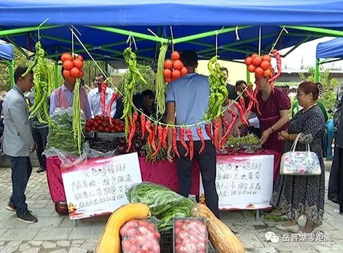 農(nóng)副產(chǎn)品促銷會(huì) 激發(fā)市場(chǎng)活力，助力脫貧攻堅(jiān)與初級(jí)農(nóng)產(chǎn)品收購