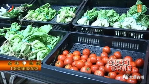 為農戶排憂解難 茂名市農業農村局緊急啟動農產品一對一對接機制，力保初級農產品收購暢通無阻